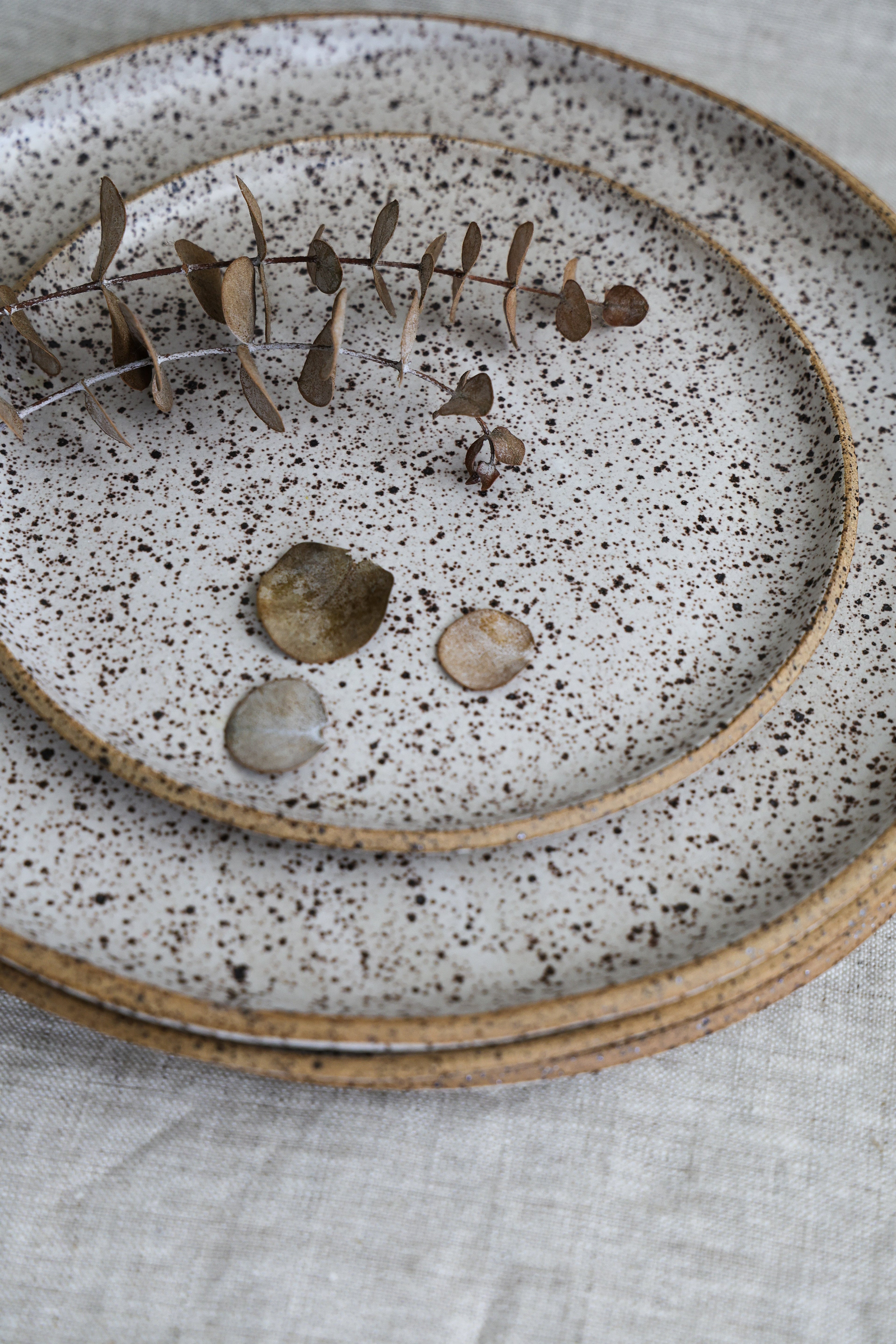 Speckled Matte White Handmade Dinner Plate