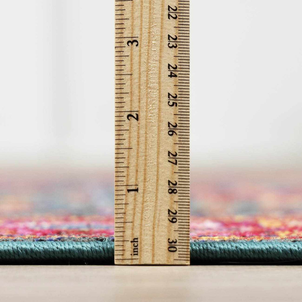 Cleveland Colorful Traditional Area Rug