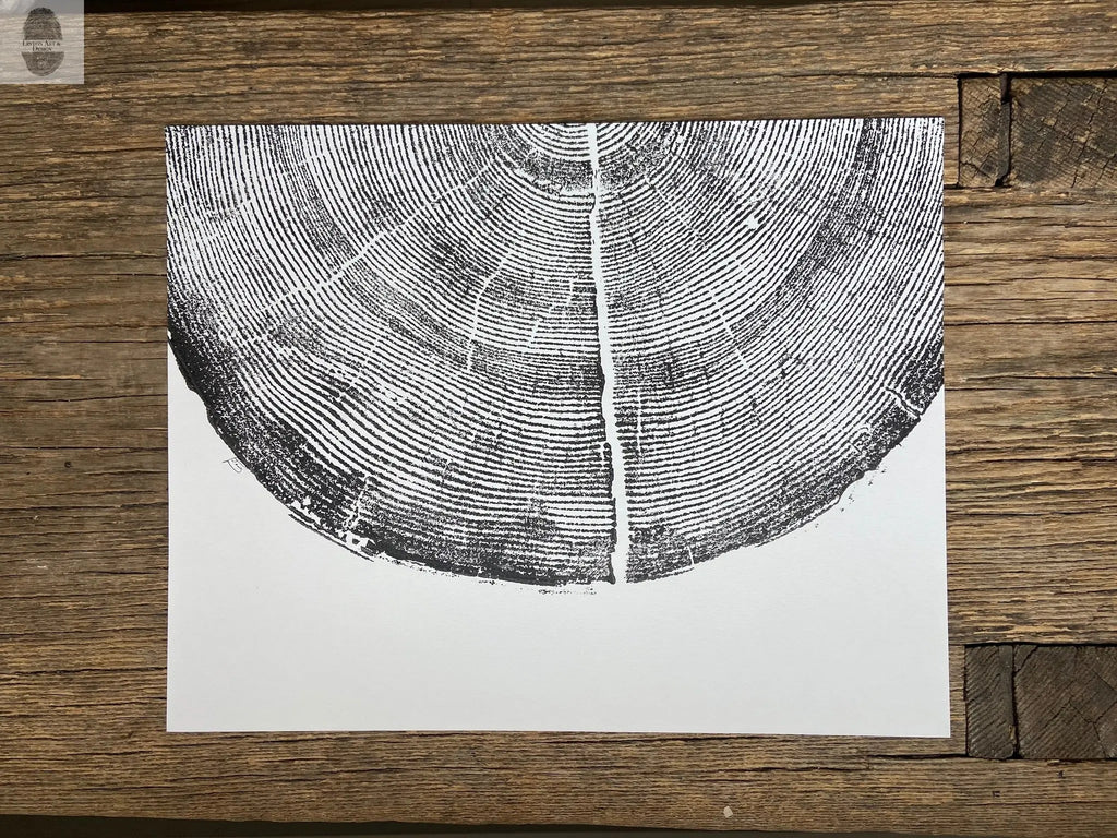 Rock Canyon Pine, Cropped, Limited Edition 11x14 inches.