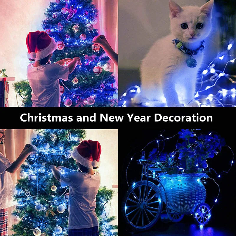 Fairy Lights String — Button Battery