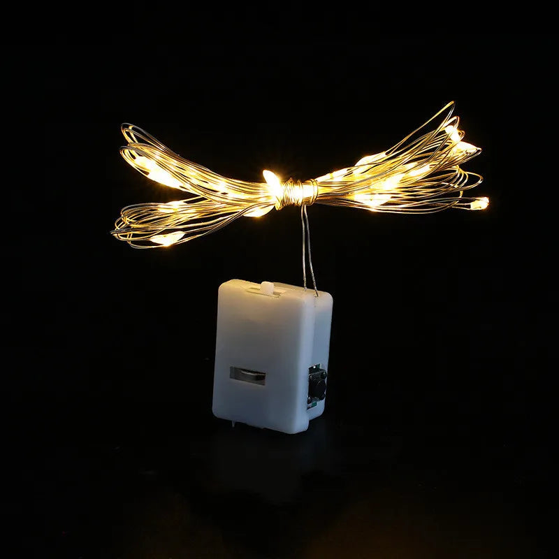 Fairy Lights String — Button Battery