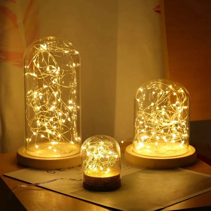 Fairy Lights String — Button Battery