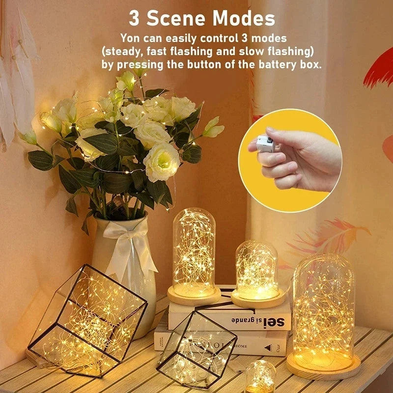Fairy Lights String — Button Battery